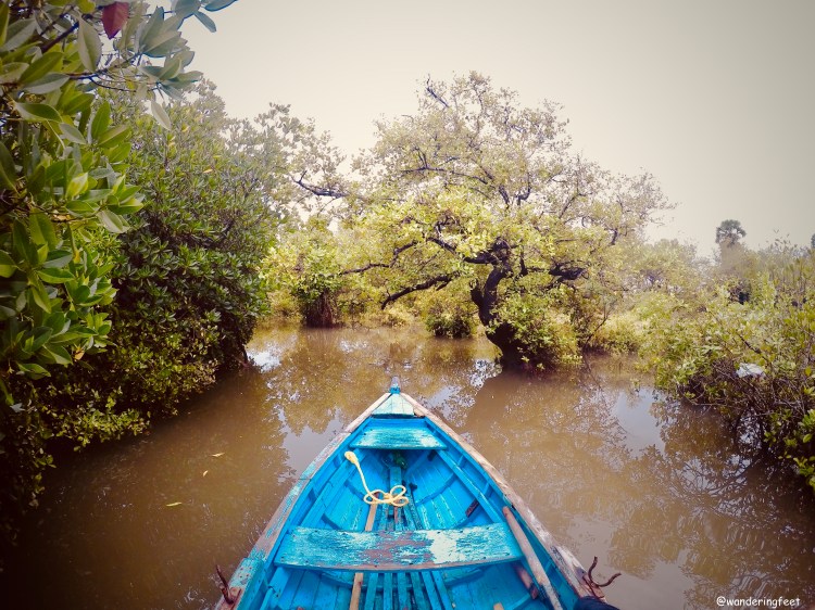Mangroves at Pichavaram
