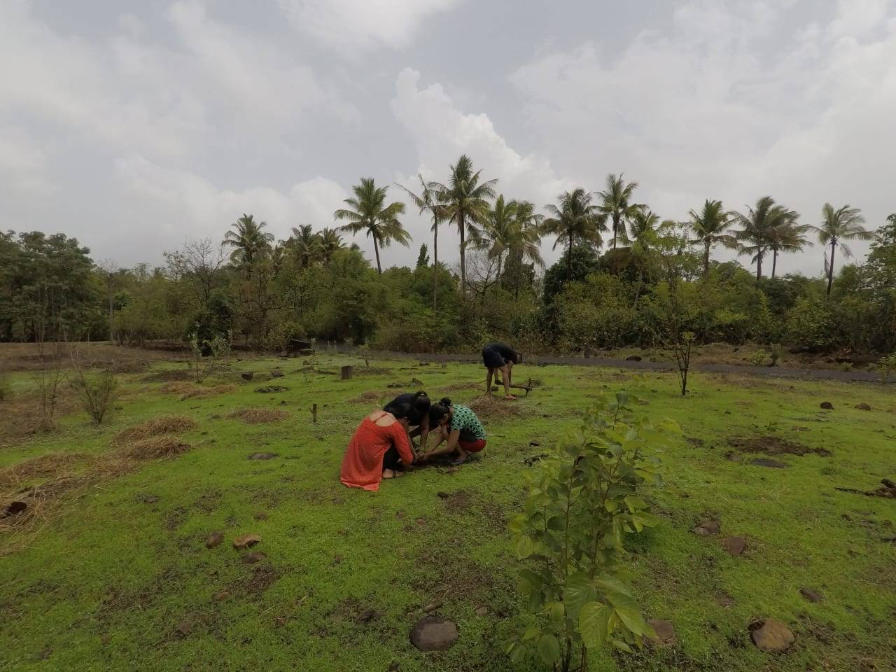 The green connection