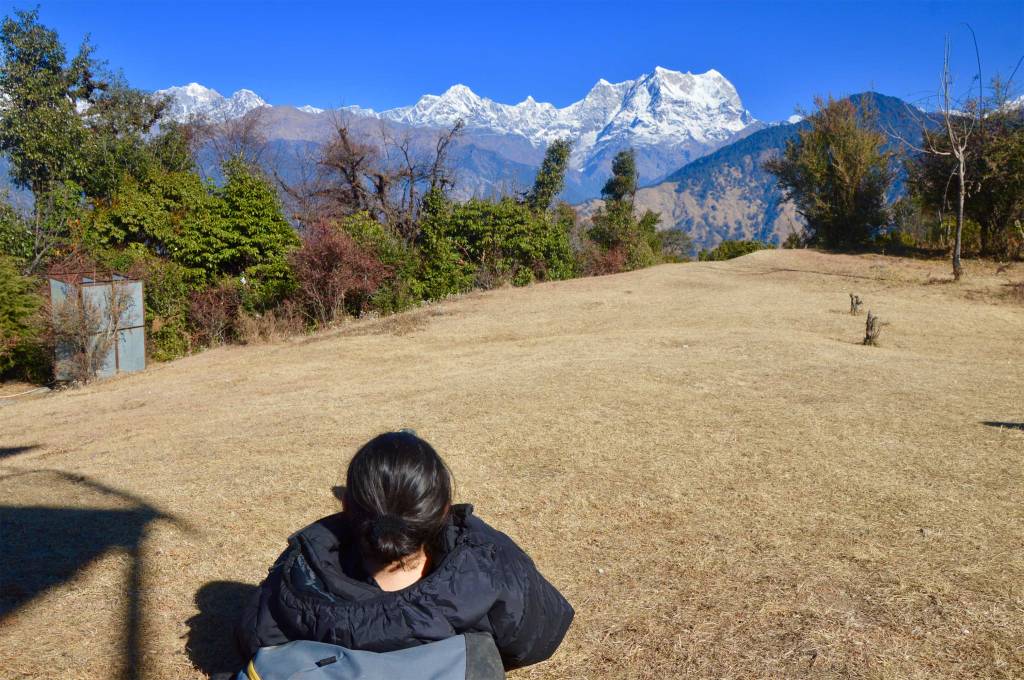 Staring at those mighty beasts!