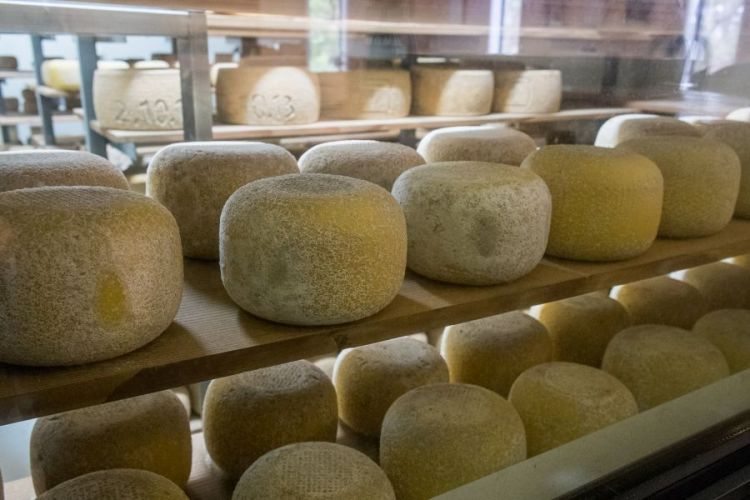 P.C. The Food Pornographer