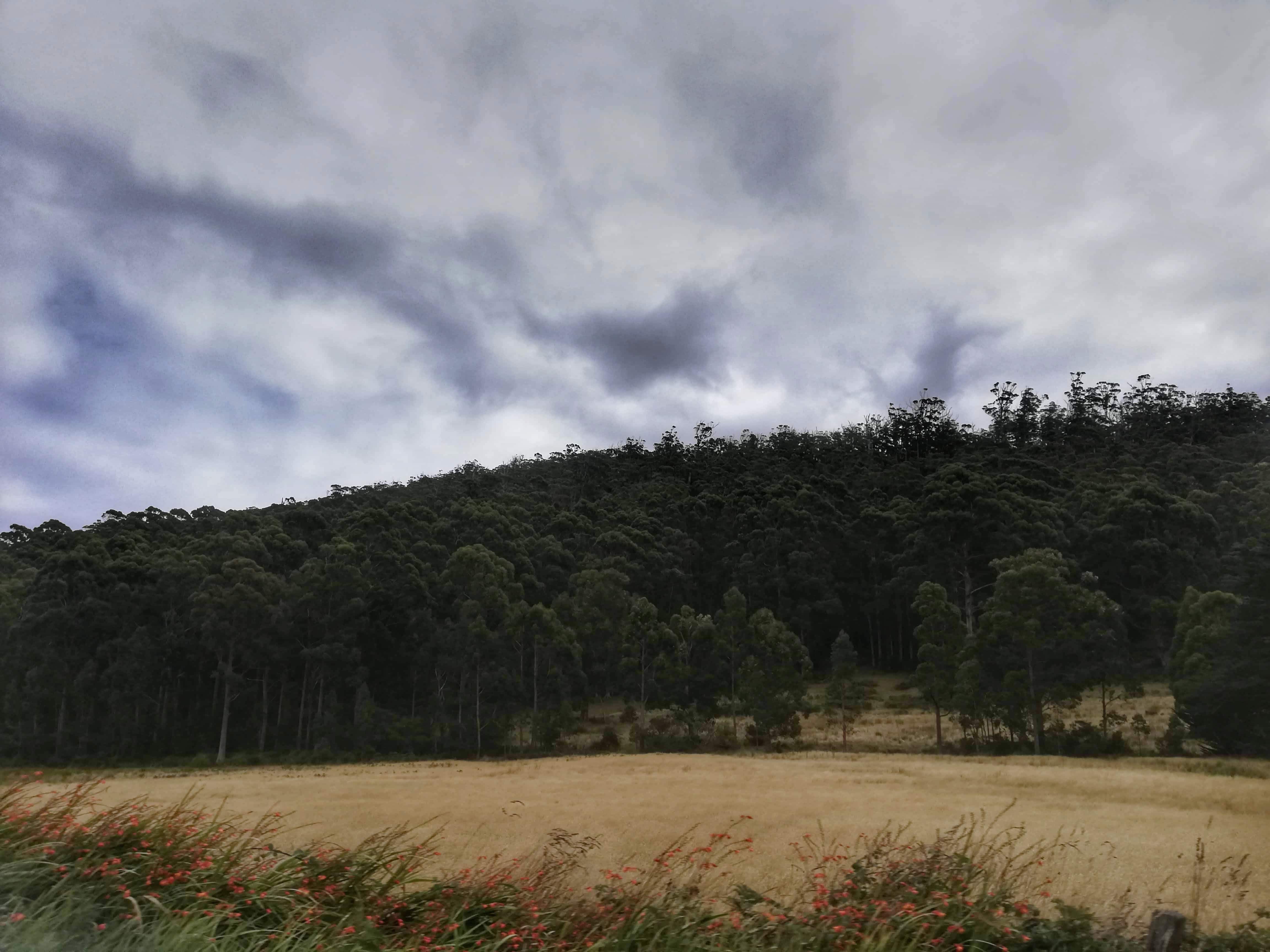 Bruny Island Landscape