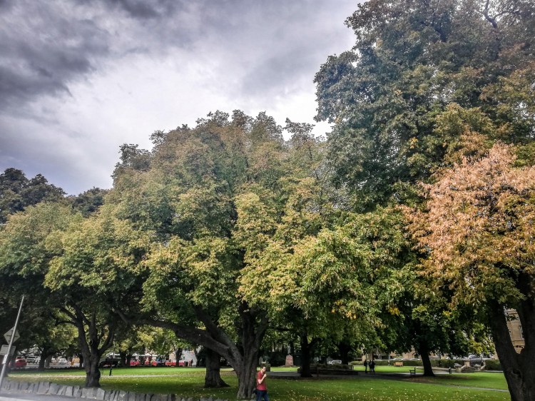 Garden outside Salamanca Market