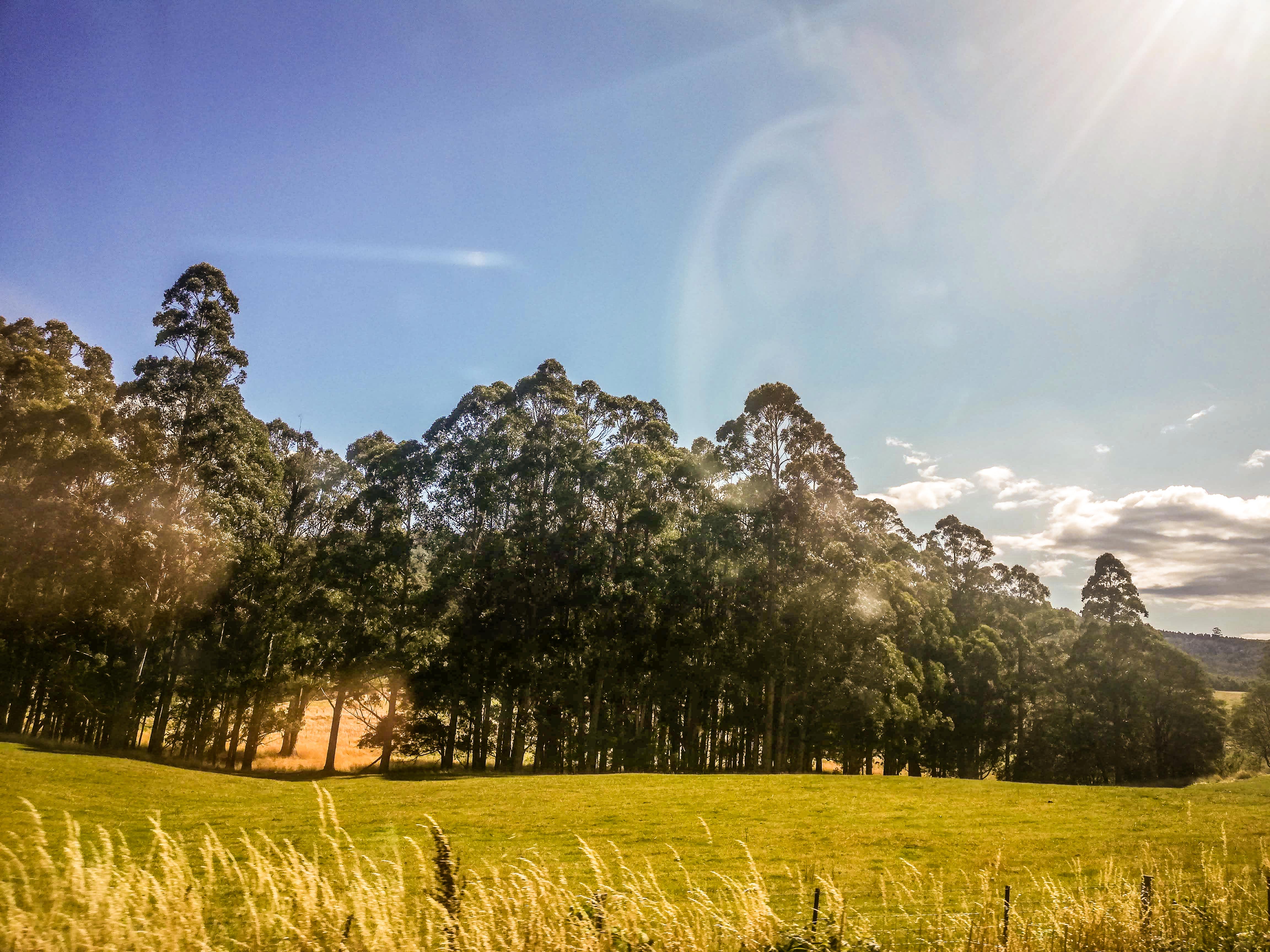 The beautiful landscape of Tasmania